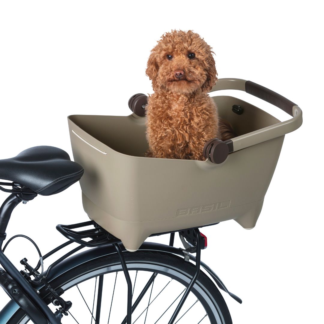 BASIL バジル BUDDY バディー ライトブラウン 小型犬 リア 後ろ